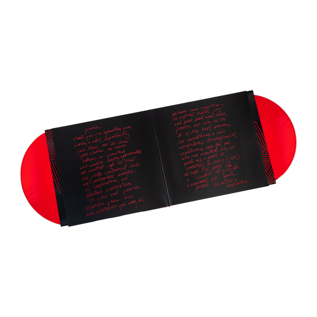 The Ecstatic (Standard Vinyl)